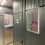galerie_jelenaMicic_07